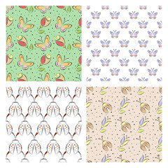 Set of seamless vector floral patterns with insect, colorful backgrounds with decorative ladybugs,butterfly,flowers.Graphic vector illustration. Series of Animals and Insects Seamless vector Patterns.