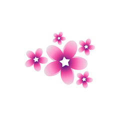 Plumeria Flower Star Logo Vector Image Icon