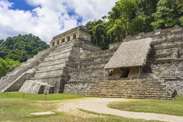 Fototapeta na wymiar 密林に眠る・マヤ文明のパレンケ遺跡