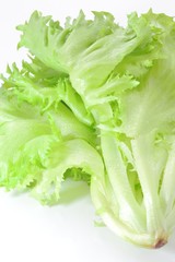 フリルレタス