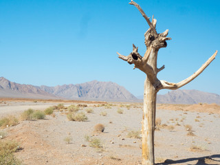 Deserto di Zein-o Din