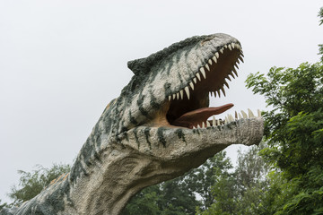 Fototapeta premium Plastikowa głowa dinozaura Allosaurus.
