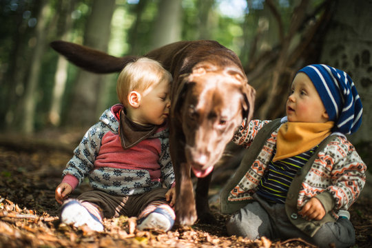 zwei Kinder kuscheln mit dem Hund