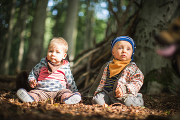 Kinder Beobachten das Leben im Wald