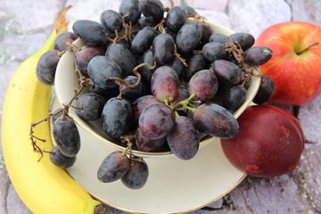 Schale mit blauenTrauben