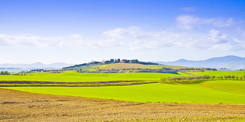 Typical tuscan landscape (Italy - Pisa)
