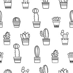 Cactus Pattern / Seamless Background with Cactus and succulent in Pot