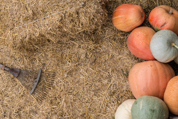 pumpkins and garden tools background