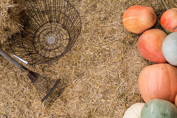 pumpkins and garden tools background