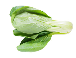 vegetable from Japan isolated on white background.