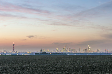 Fototapeta premium view of Frankfurt skyline with fields by night