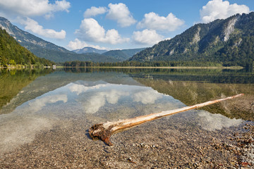 Wooden trunk in front of lake Offensee