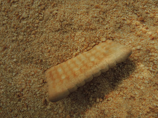  Ground biscuits for preparing cake