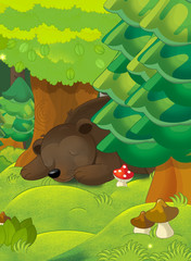 Cartoon colorful scene with bear sleeping in the forest - illustration for children