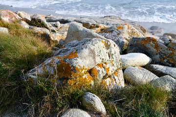 Un rocher au bord de mer