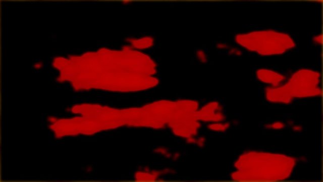 macchie di sangue in movimento