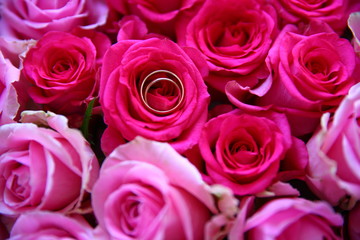 Fototapeta na wymiar wedding rings/ wedding rings lying in the heart of a rose