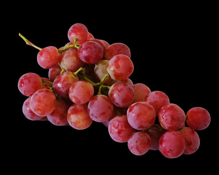 Bunches of fresh red grapes with black isolate background