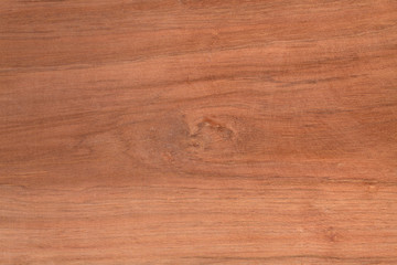 Obraz premium Texture of wood