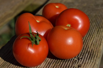 Tomaten