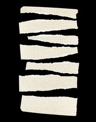 Paper torn to pieces on the isolated white background