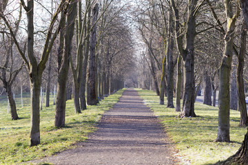 Immer geradeaus ins Glück