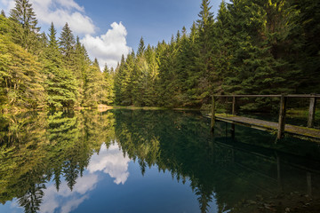 Fototapeta na wymiar See im Thüringer Wald
