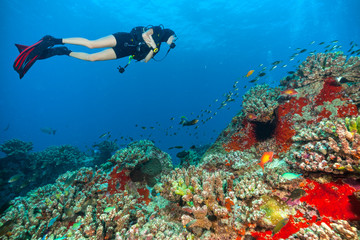 Young woman scuba diver exploring sea bottom