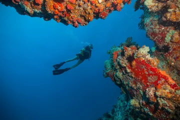 Crédence de cuisine en verre imprimé Plonger Young woman scuba diver exploring sea bottom