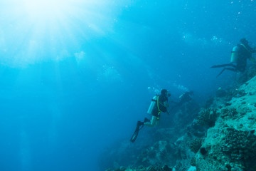 Fototapeta na wymiar Group of scuba divers exploring sea bottom