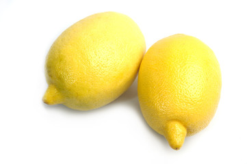 lemon on white