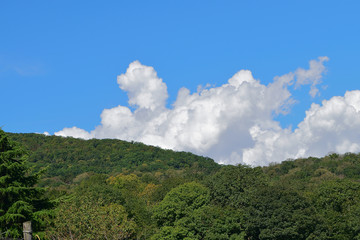 Naklejka premium clouds over the forest