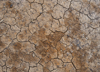 cracked dry land