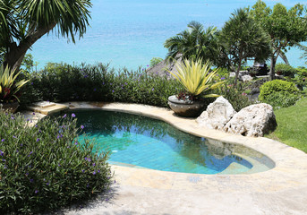beautiful swimming pool in the garden