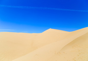 Fototapeta na wymiar Footprints in the Desert