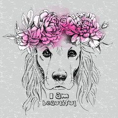 Naklejki  Image Portrait of a dog with long ears in pink flowers headband. Vector illustration.