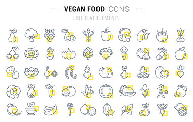 Set Vector Flat Line Icons Vegan Food