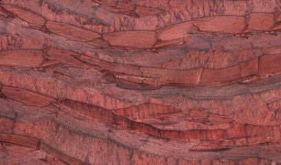 Wood texture. Lining boards wall. Wooden background pattern. Showing growth rings. Red Colour