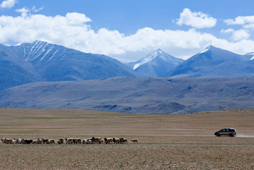 Fototapeta na wymiar Car driving in the Indian Himalayas in Ladakh, India