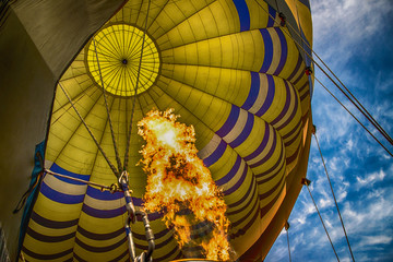 Hot Air Balloon Napa Valley