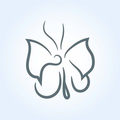 Butterfly vector illustration