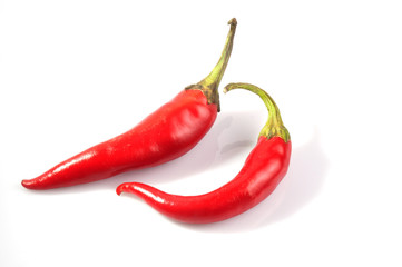 red chili peppers - hot spices on white background 