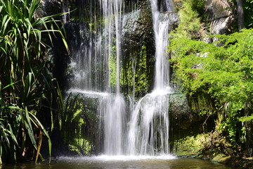 Fototapeta na wymiar Tropical Waterfall
