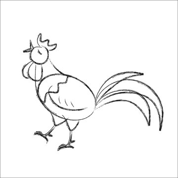 Sketch cock on the white background. Rooster song
