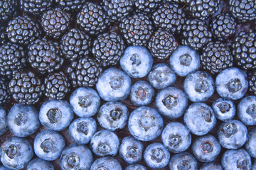 Blackberries and blueberries