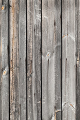 Wooden wall, vertical background texture