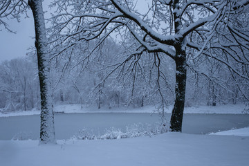 Around the Pond