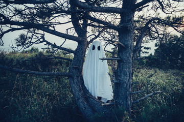White sheet ghost in forest
