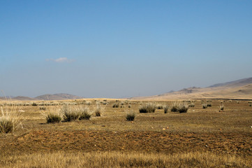 Obraz premium hay bales in a field