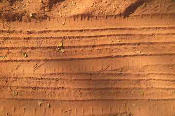 Wheel traces on the red sand